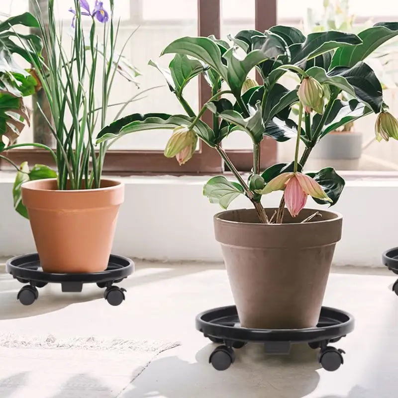Plants Stand With Wheels Heavy Duty Transparent Colour ,PP Material non Plastic